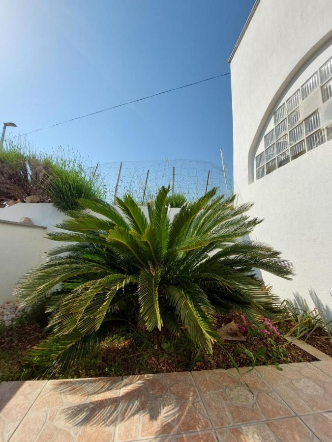 Apartments Markulincic Novalja Εξωτερικό φωτογραφία